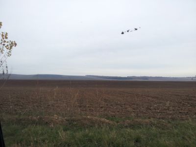  terreno agricolo di ha 25, con accesso da strada comunale,