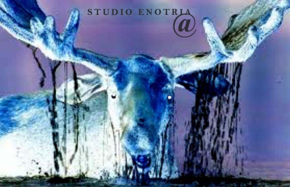 Latte in polvere confezionato �PRIVATE LABEL� 