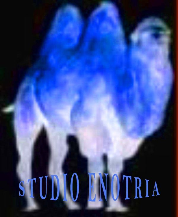 Disponibile Olio Extravergine d�Oliva 100% Italiano e/o Comunitario (EU). 