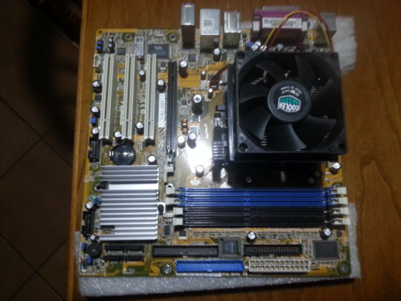 Scheda Madre Asus A8NE FM S