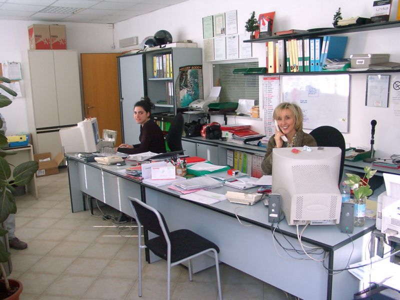 Madrelingua europea cercasi