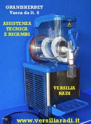 Motoriduttore motore per granitore GBG usato ok