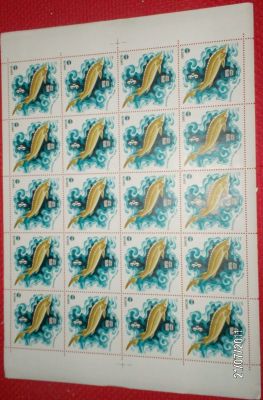 Francobolli fogli interi