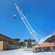 Vendesi autogru Ormig