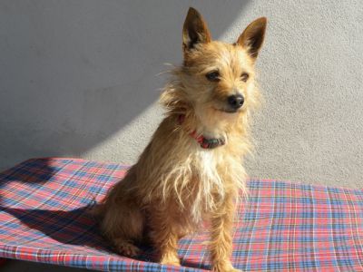 RUDY DUE ANNI PICCOLO CHE NESSUNO VUOLE