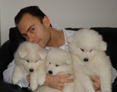 Samoiedo + DVD concepiti alle 11:11 del 11-11-11, di altissima genealogia e scuola educativa