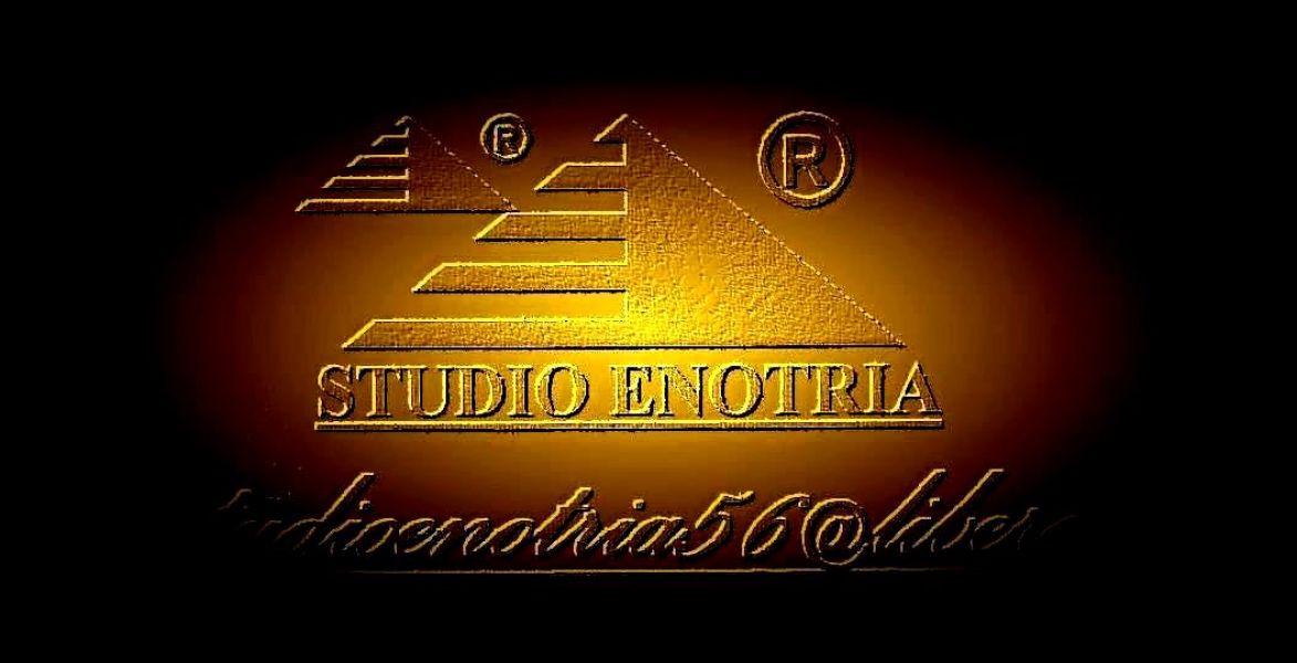 Olio di oliva 100% olive Italiane euro 2,2 a Litro,produzione Italia