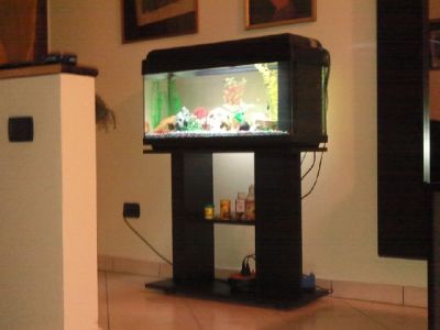 ACQUARIO 100 LITRI