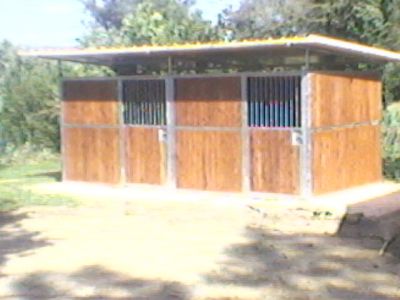 Vendo box e scuderie per cavalli