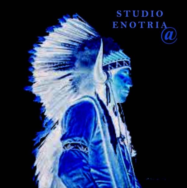 Olio di semi Girasole