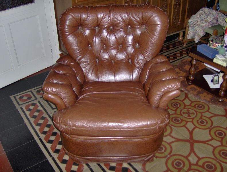 Vendo coppia poltrone classiche in pelle