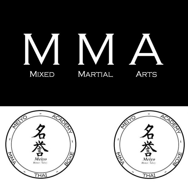 Scuola Dojo Arti Marziali Torino Mma Meiyo  