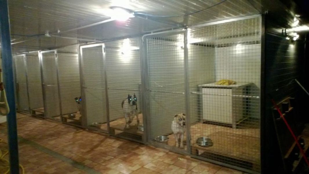 Struttuta box allevamento