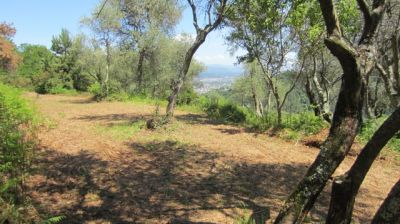 Incantevole tra gli Ulivi - Terreno Edificabile Residenziale