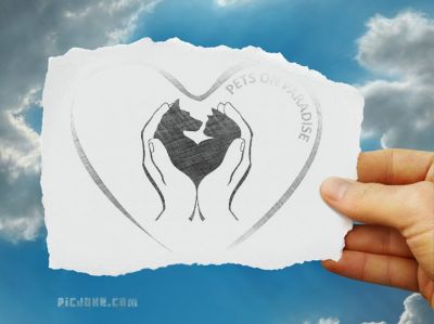 PETS ON PARADISE Animali in Paradiso