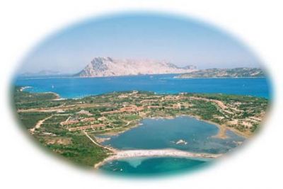 SI AFFITTA BILOCALE A CODA CAVALLO A 500 METRI DAL MARE