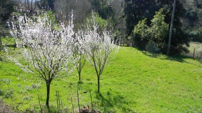 CASA CON GIARDINO IN VENDITA ROMA