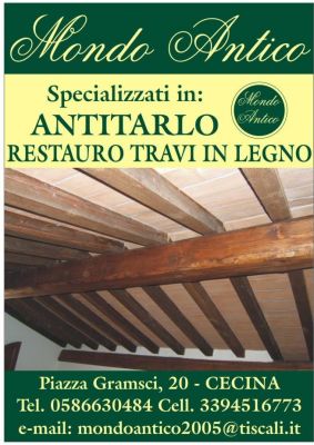 ANTITARLO TRAVI IN LEGNO