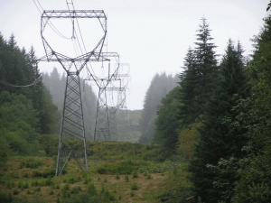 AGENTE ENEL MICROBUSINESS