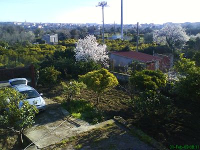 Terreno 800 mq con casetta rustica OCCASIONE