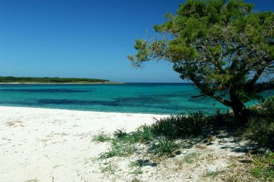 Budoni casa 400metri dal mare per le tue vacanze in Sardegna!