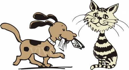 Cremazione animali domestici