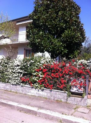 Camera e colazione a Cesena in Bed and Breakfast