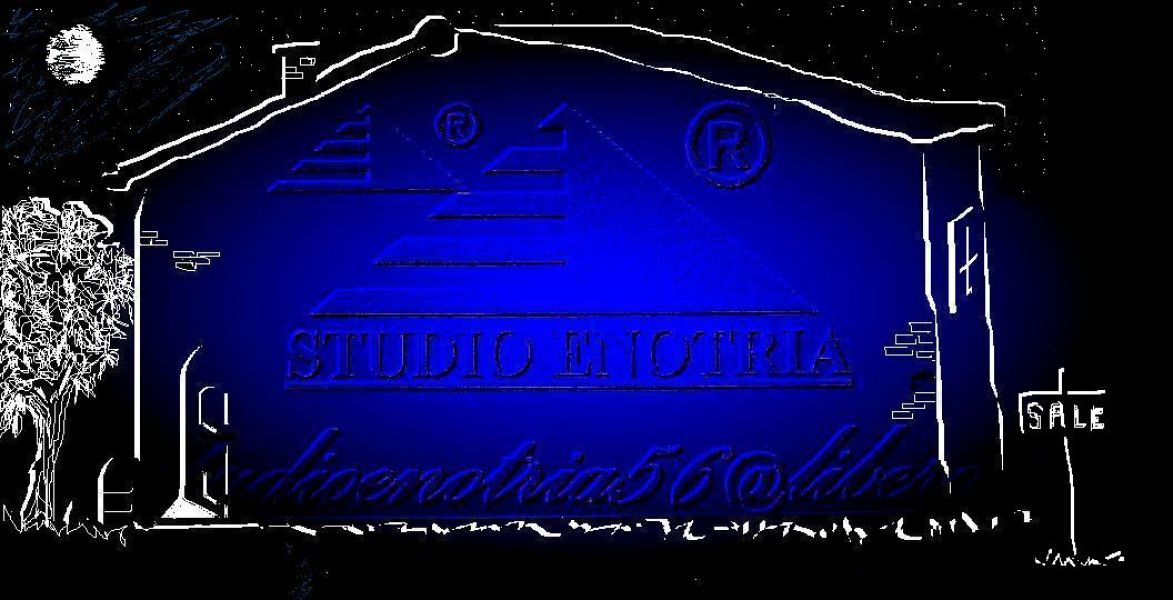 Zona Aurora, Affittasi appartamento bilocale mq. 70.