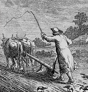 TERRENO AGRICOLO DI HA 4,40