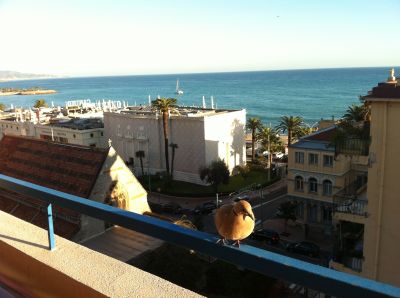 Costa Azzurra affitto mesi estivi alloggio fronte mare