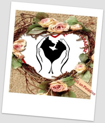 PETS ON PARADISE Animali in Paradiso