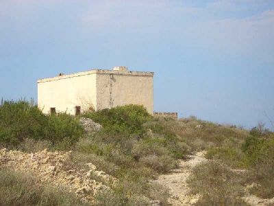 RIF.926 Terreno agricolo