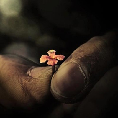 Laboratori di Arte Terapia