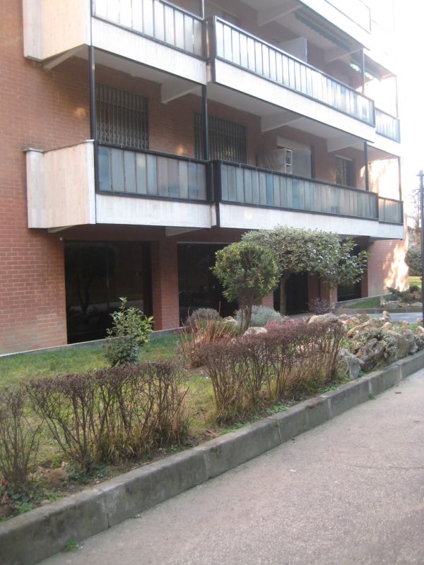 Bilocale ristrutturato  in affitto 