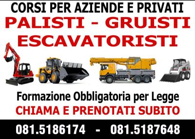 PALA MECCANICA GRU ESCAVATORE