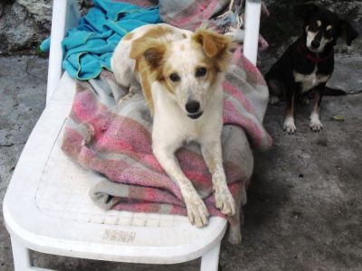 Chicca 6 mesi di energia