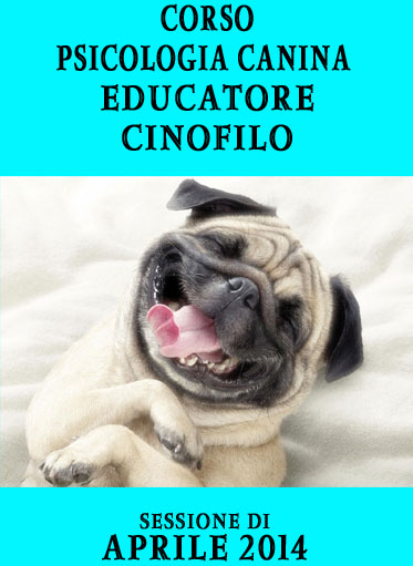 Corso Educatore Cinofilo - Corso Dog Sitter