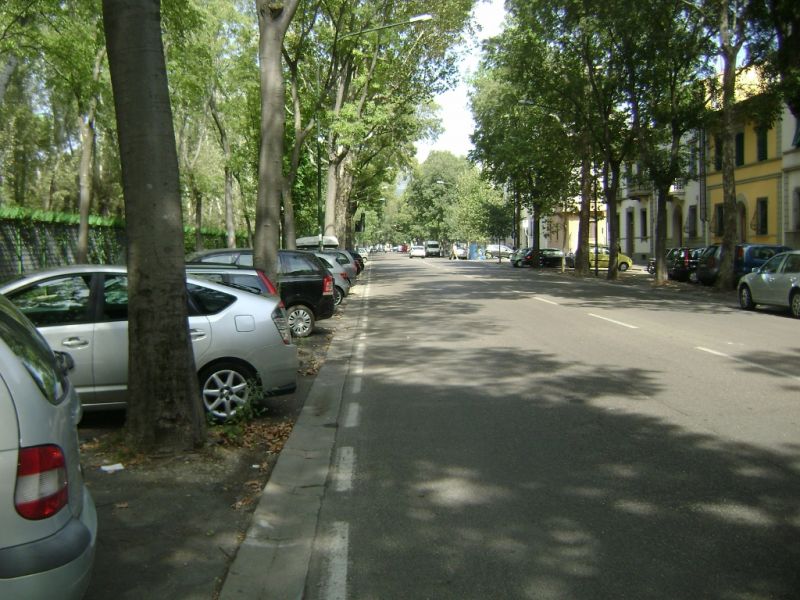 Affitto stanze viale Manfredo Fanti Firenze