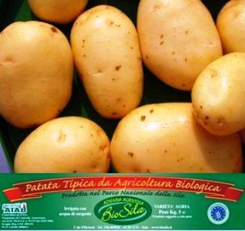 Patate della Calabria provenienti da agricoltura biologica.