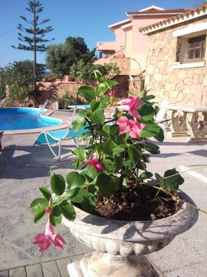 casa vacanza con piscina affitto