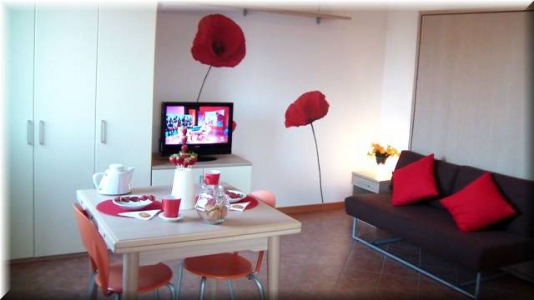 A Bologna alcuni mesi? Monolocale accessoriato e climatizzato