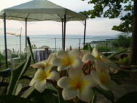 APPARTAMENTI IN VILLA