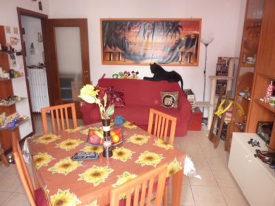 Pavia - Viale Campari - Ampio e luminoso bilocale arredato di 50 mq 