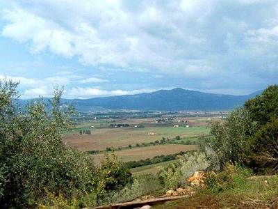 Terreno con annesso zona Montepescali