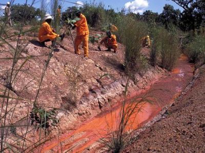 polvere d'oro in vendita