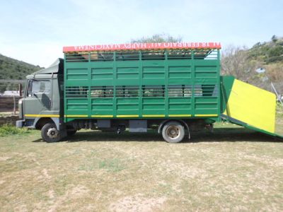 trasporto cavalli/animali