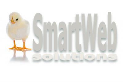 Siti web e consulenze