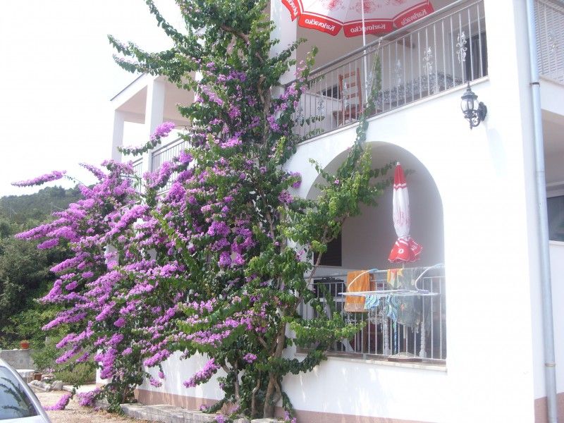 L isola di Hvar-Croazia affito appartamenti