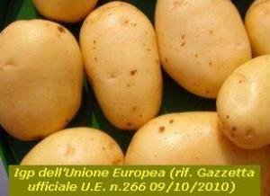 Patate silane Igp