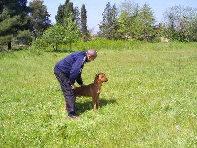 regalo giovane meticcio
